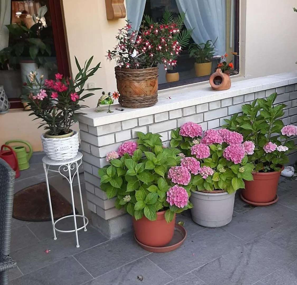 Tatil Evi Siesta Vendeghaz Villa Eğri