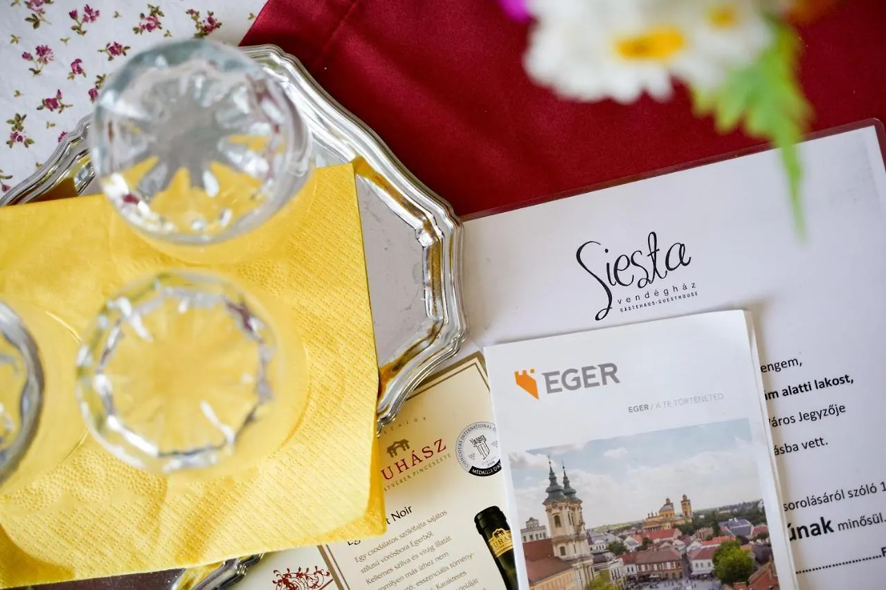 Dom wakacyjny Willa Siesta Vendeghaz Eger